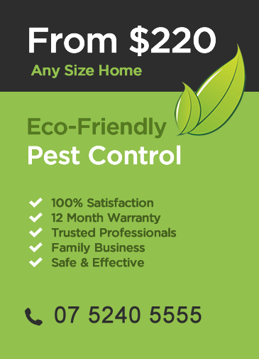 Eco Pest Control Gold Coast Packages
