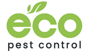 Pest Control Gold Coast | Eco Pest Control Gold Coast